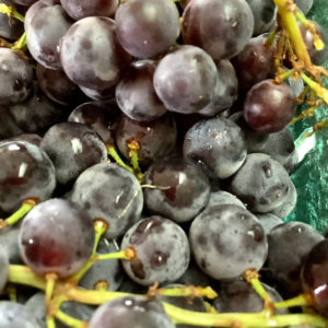 Grapes Grown in Cowichan BC