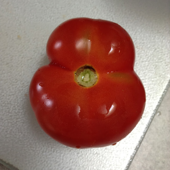 I Love Cowichan Tomato Recipe Post Feature Image