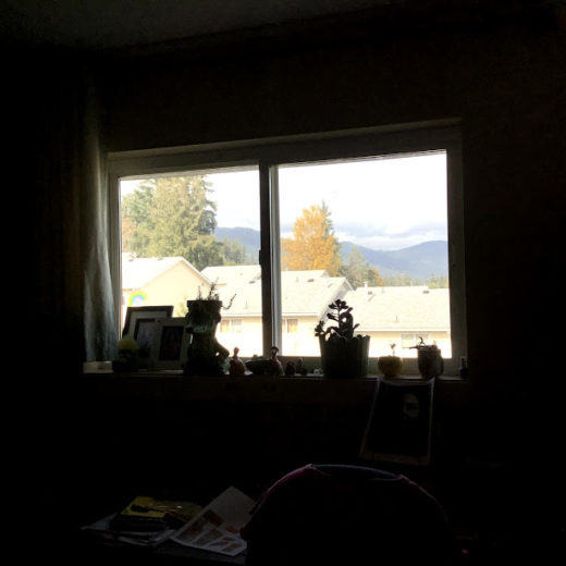 Sunny Day Blogging Blogging in the Cowichan Valley I Love Cowichan