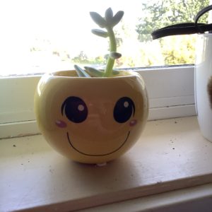 Smiley Face Succulent Planter in Window Sill