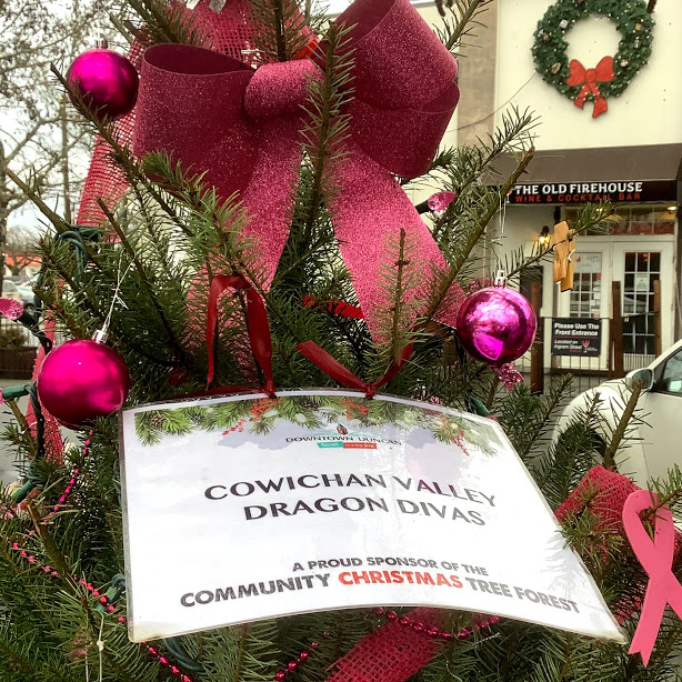 Cowichan Valley Christmas Tree Forest Sponsors Downtown Duncan BC December 2019